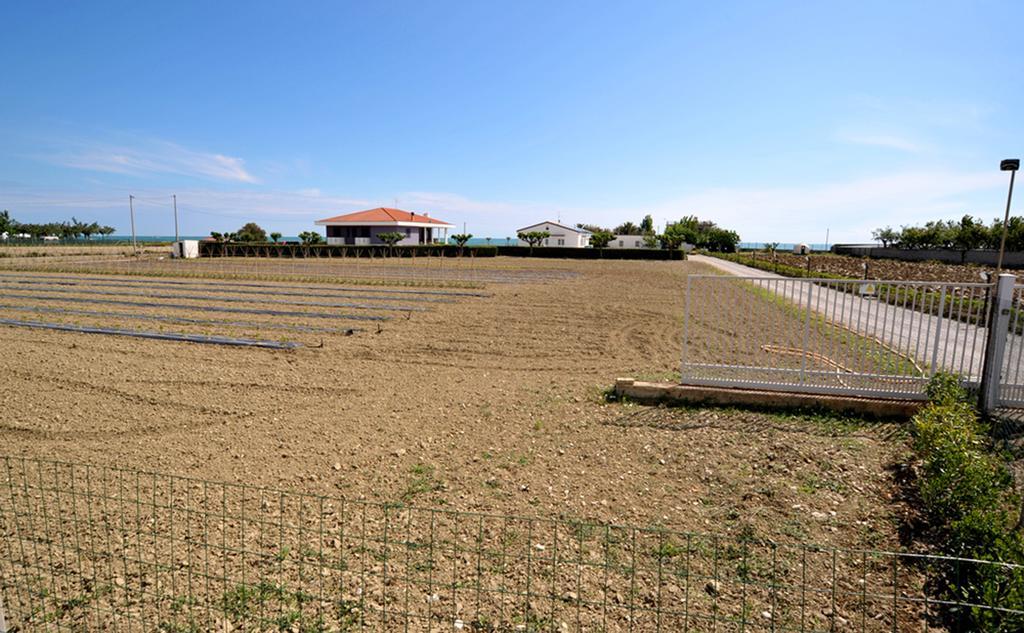 Agriturismo Frontemare จูเลียโนวา ภายนอก รูปภาพ