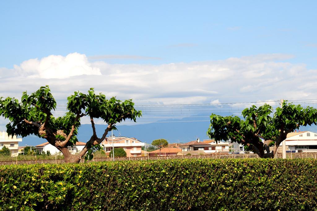 Agriturismo Frontemare จูเลียโนวา ภายนอก รูปภาพ
